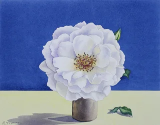 Unknown Image